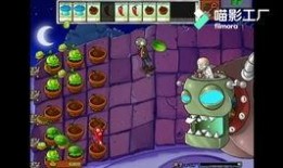 不同僵王的爆料视频,揭秘网络红人背后的秘密与争议